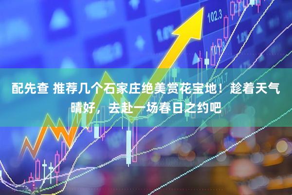 配先查 推荐几个石家庄绝美赏花宝地！趁着天气晴好，去赴一场春日之约吧