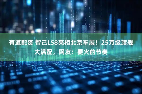 有道配资 智己LS8亮相北京车展！25万级旗舰大满配，网友：要火的节奏